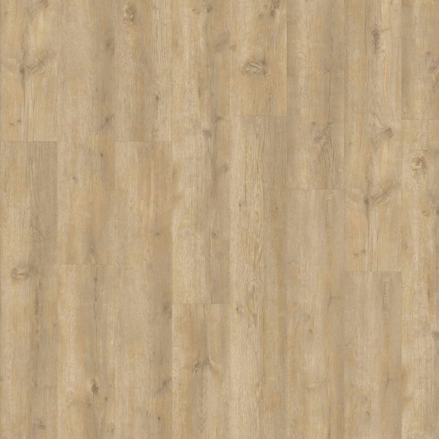 Montilla Planks - Bowie